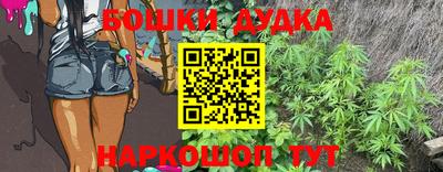 сатива Кимры