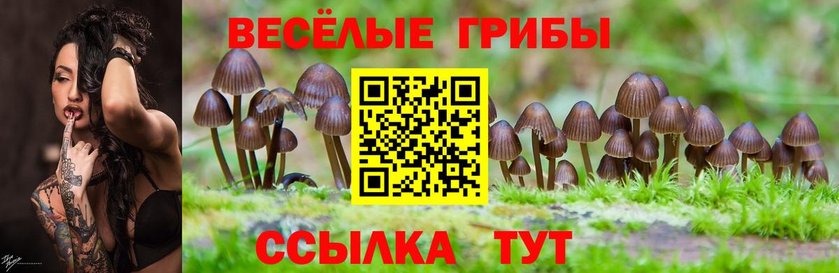 Коммунар  Галлюциногенные грибы ЛСД  Вход с VPN 